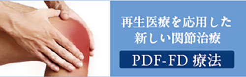 PDF-FD療法